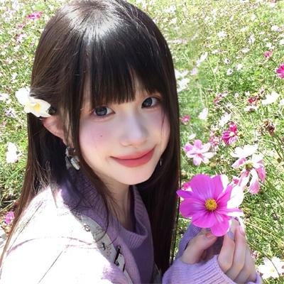 血斗淑女封面