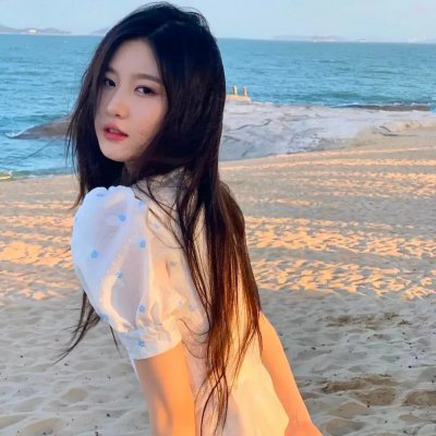 风流骗子封面