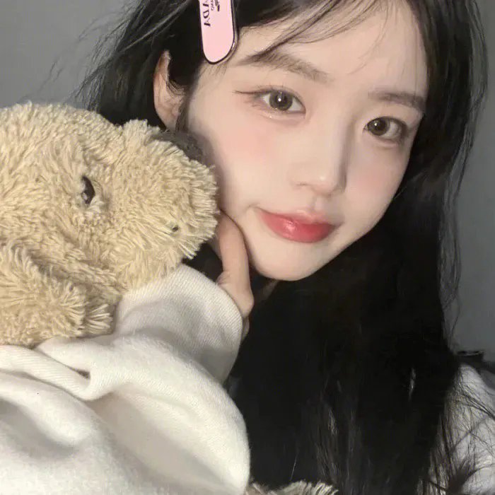 少数意见封面